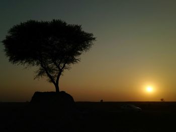 Silhouette tree on beach against sky during sunset