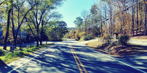 Road amidst trees in forest against clear sky