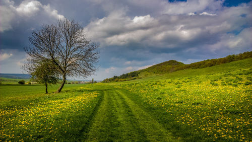 Countryside landscape against clouds