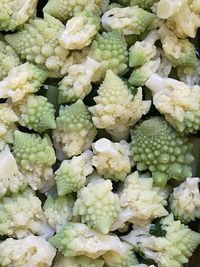 cauliflower