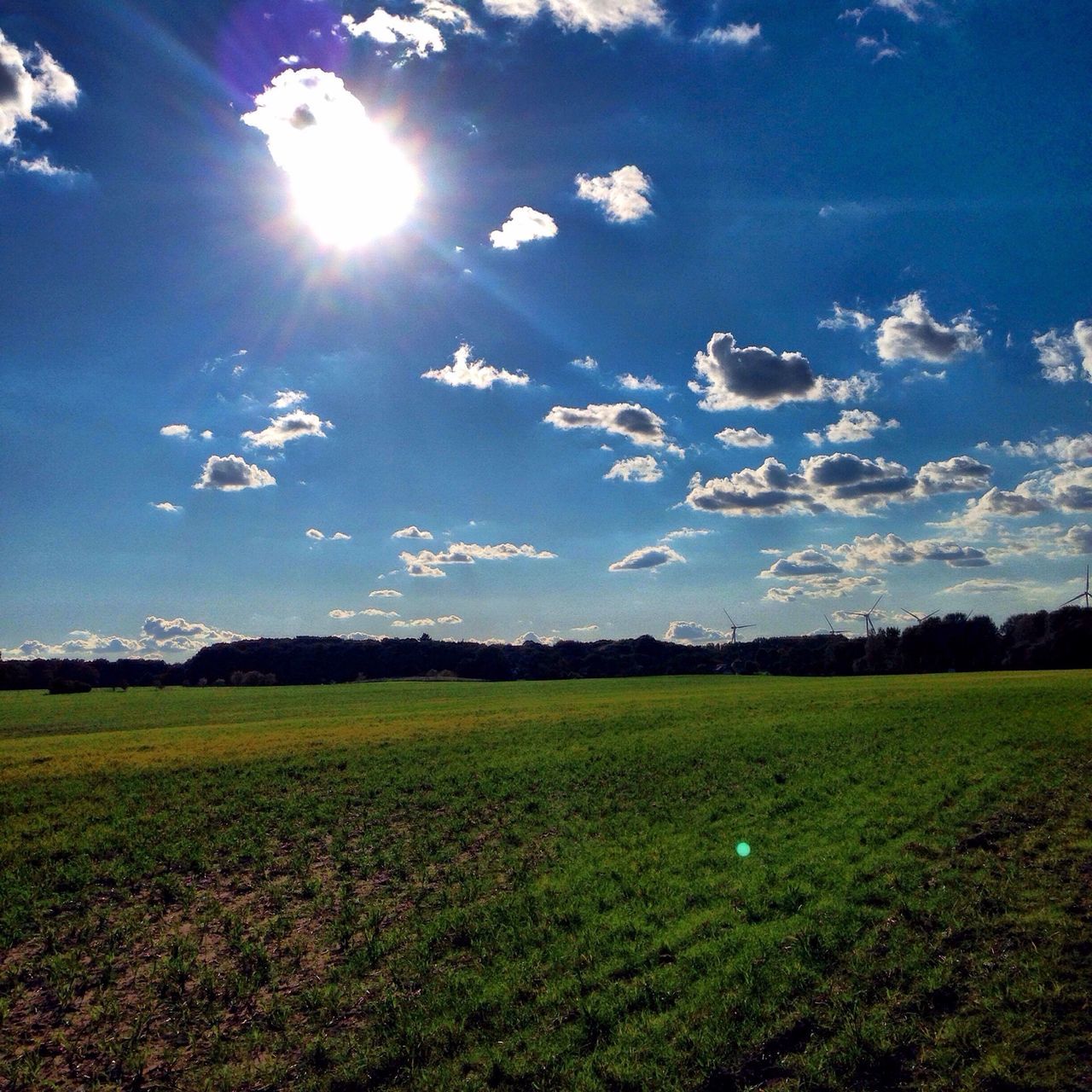 sun, sunbeam, tranquil scene, sky, sunlight, beauty in nature, tranquility, field, grass, landscape, scenics, growth, nature, lens flare, green color, cloud - sky, blue, sunny, cloud, grassy