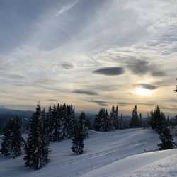 Snow covered land and trees against sky