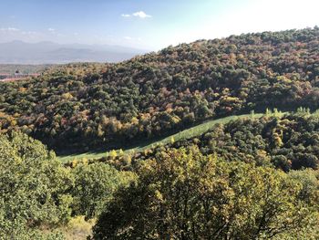 High angle view of trees on landscape against sky