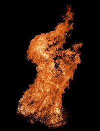 Close-up of bonfire against black background