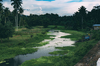 Scenic view of landscape against sky