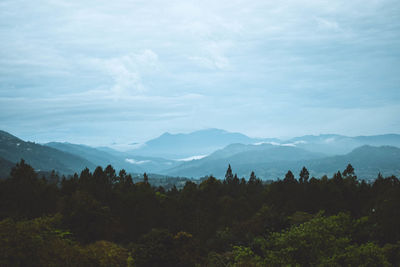 Scenic view of forest and mountains against sky