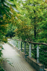 Footbridge over trees
