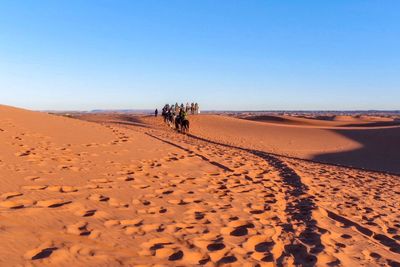 Rear view of people riding camels at desert