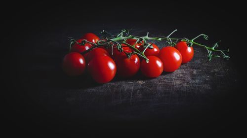 Close-up of tomatoes against black background