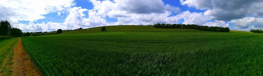 Panoramic view of green landscape against sky