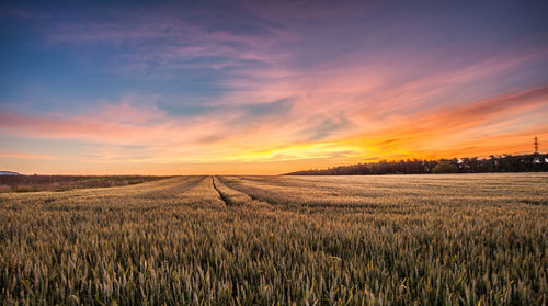 Scenic view of field against cloudy sky during sunset