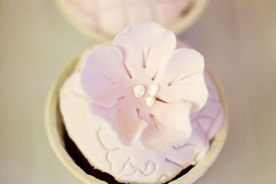 Close-up of flowers