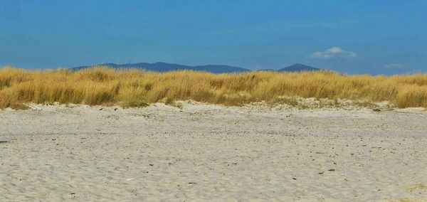 Scenic view of sand dunes against clear sky