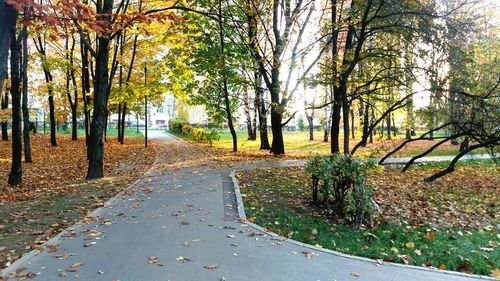 Road amidst trees in park during autumn