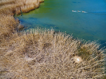 High angle view of beach