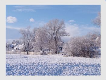 Bare trees on snow covered landscape against sky