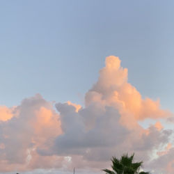 Low angle view of sky during sunset