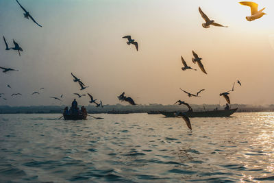 Morning landscape of varanasi