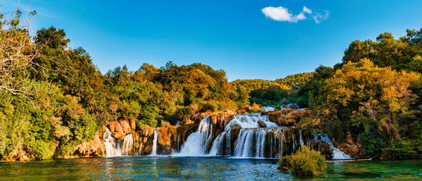 Scenic view of waterfall in forest