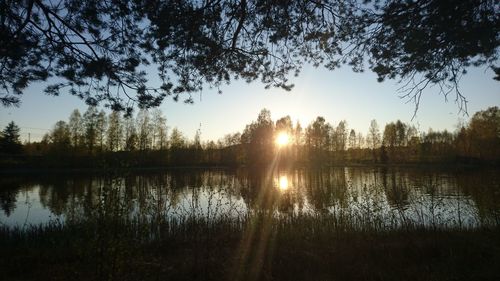 Reflection of trees in lake