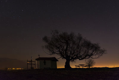 Silhouette tree on field against sky at night