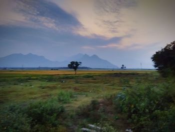 Scenic view of landscape against cloudy sky