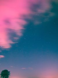 Low angle view of trees against sky at night