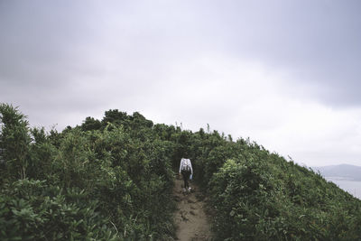 Rear view of hiker standing on trail against sky