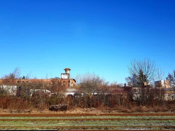 Plants on field by building against clear blue sky