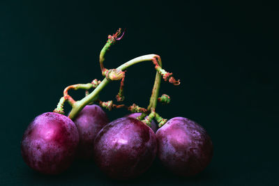 Close-up of fruits against black background