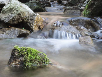 Scenic view of waterfall in forest