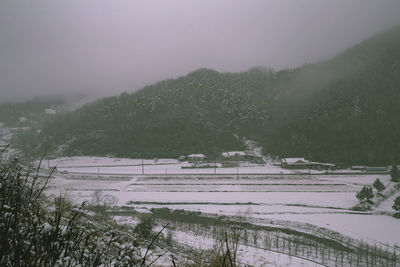 Trees on field against sky during winter