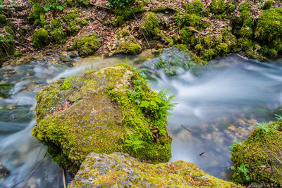 Scenic view of stream flowing through rocks