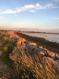 Scenic view of sea against sky