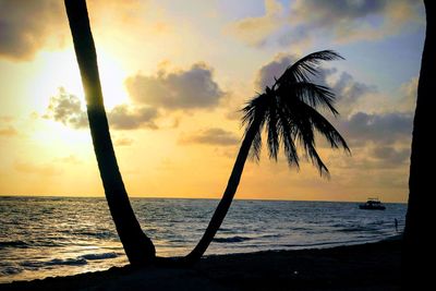 Silhouette palm trees on beach against sky during sunset