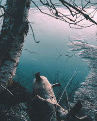 High angle view of tree trunk by lake