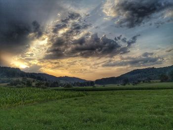 Scenic view of field against sky during sunset