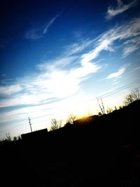 Silhouette of trees at sunset