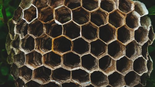 Full frame shot of a hive