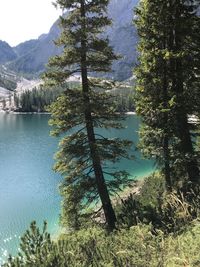 Scenic view of lake by trees against sky