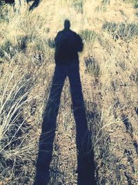 Shadow of man on field