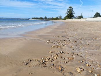 Scenic view of beach against sky