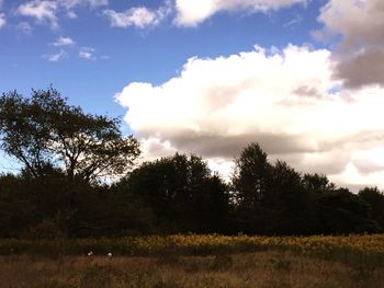 Scenic view of grassy field against cloudy sky