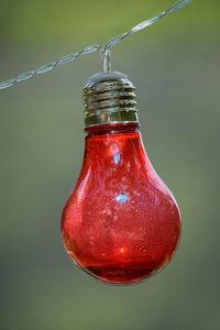 Close-up of red bottle hanging on water