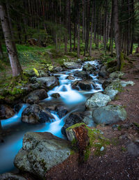 Stream flowing through rocks in forest