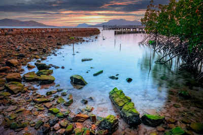 Scenic view of river against sky