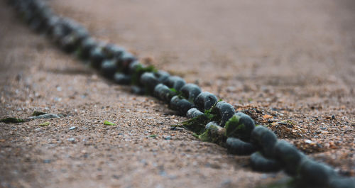 Close-up of stones on sand