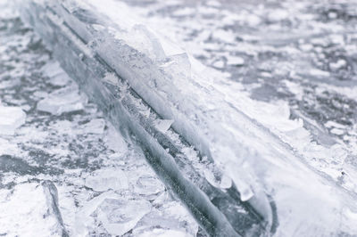 Close-up of snow on tree