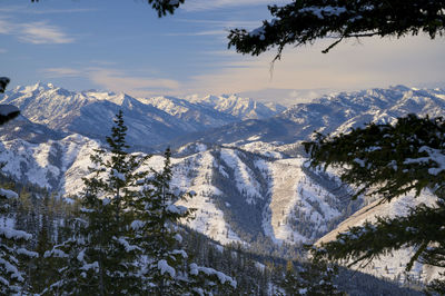 Snow covered mountains with trees framing the view