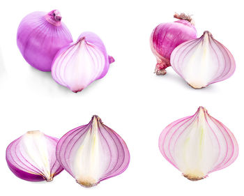 Close-up of garlic against white background